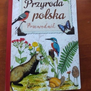 Widzę i rozumiem