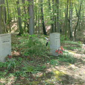 OMS w Czechach [aktualizacja #9]