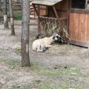Wycieczka do Doliny Charlotty