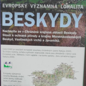 Wizyta w Czechach - drugi tydzień, aktualizacja#4