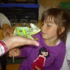 Lekcja przyrody w 