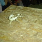 Lekcja przyrody w 