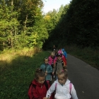 Dziupla Ekologiczna