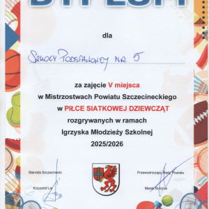 Osiągnięcia zespołowe