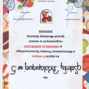 Osiągnięcia zespołowe