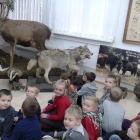 Dziupla ekologiczna