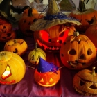 Halloween 2015