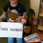 Miś Sobiś