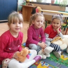 Dzień pluszowego misia
