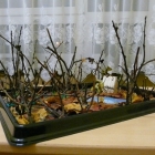 Konkurs 