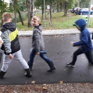 Zorientowany matematyk