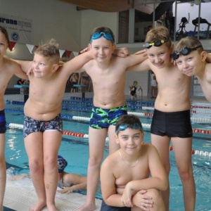 Mistrzostwa w pływaniu drużynowym