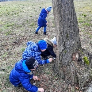 Obserwacje przyrody