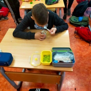 Dzień Zdrowia = zdrowe śniadanie
