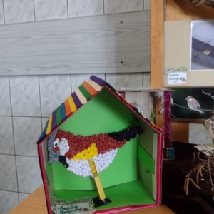 Światowy Dzień Wróbla
