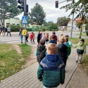 Mistrz bezpieczeństwa