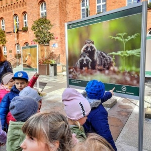 DZIKA NATURA