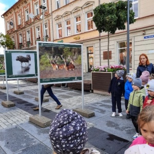 DZIKA NATURA