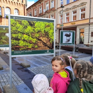 DZIKA NATURA
