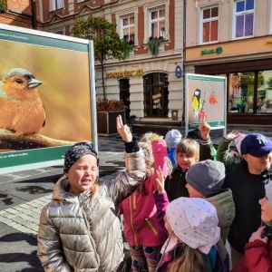 DZIKA NATURA