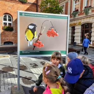 DZIKA NATURA