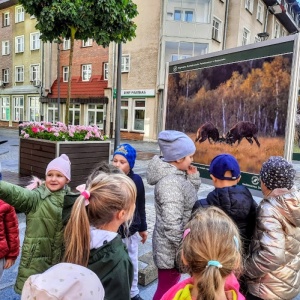 DZIKA NATURA