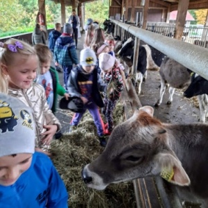 Juchowo Farm