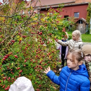 Juchowo Farm
