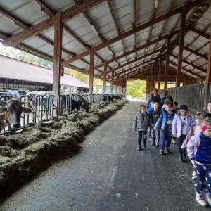 Juchowo Farm