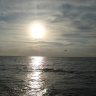 Pogorzelica 2012