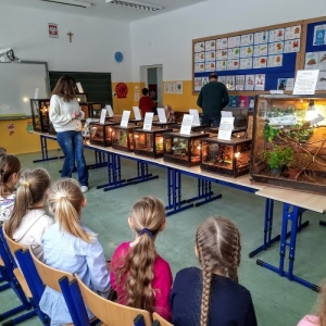 Żywa lekcja przyrody