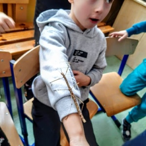 Żywa lekcja przyrody