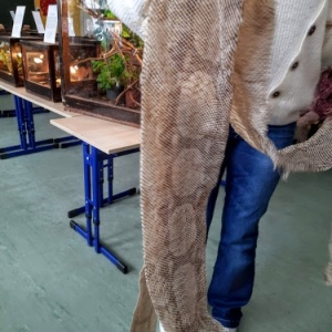 Żywa lekcja przyrody