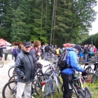 Naokoło jest wesoło 2012