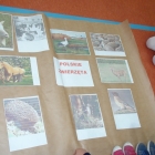 Święto Niepodległości